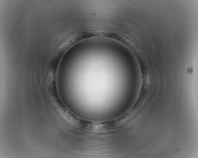 X0000092020472200709061557