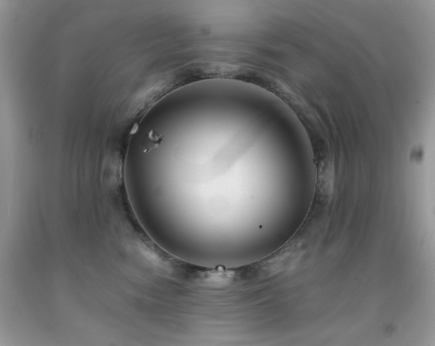 X0000092020474200709061557