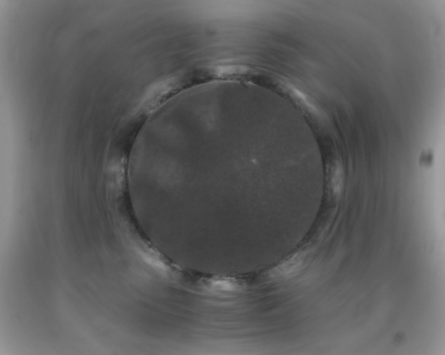 X0000092020475200709061557