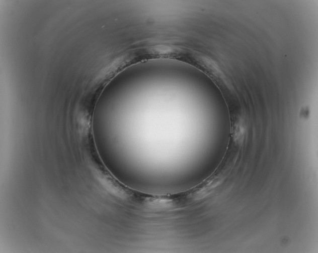 X0000092020476200709061557