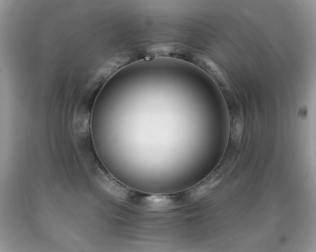 X0000092020477200709061557