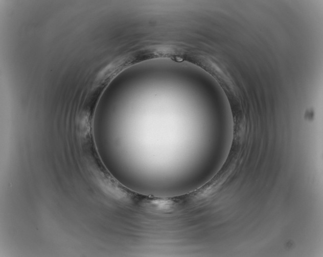 X0000092020478200709061557