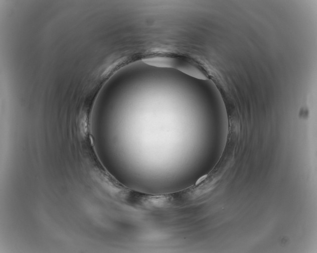 X0000092020479200709061557
