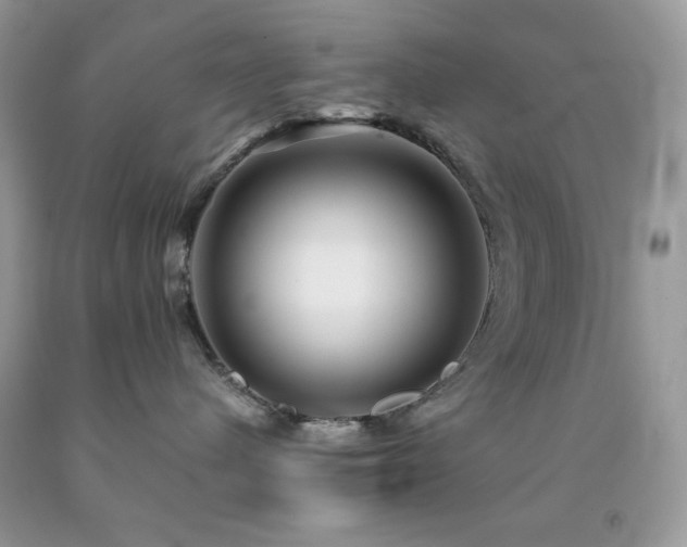 X0000092020480200709061557