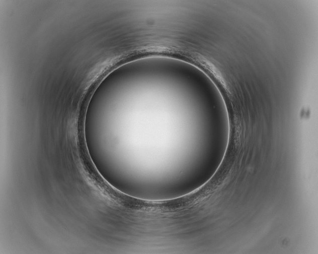 X0000092020482200709061556