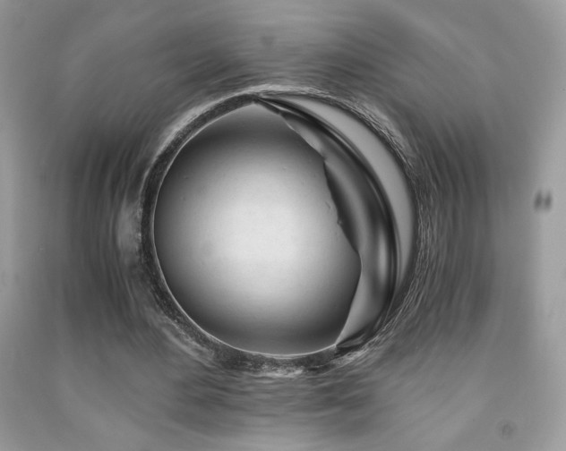 X0000092020484200709061556