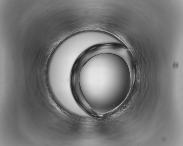 X0000092020485200709061556