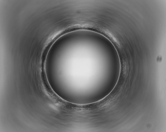 X0000092020486200709061556