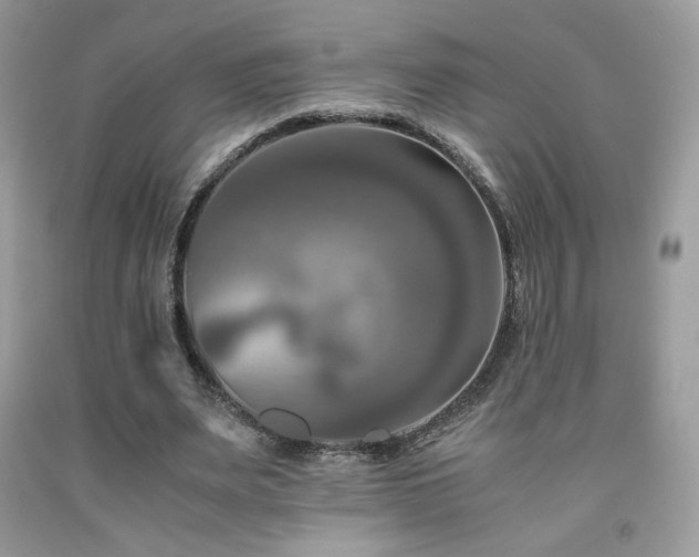 X0000092020487200709061556