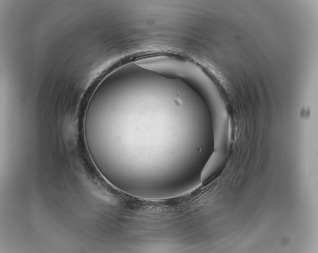 X0000092020488200709061556