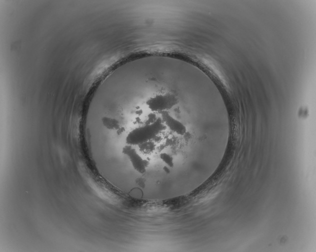 X0000092020491200709061556