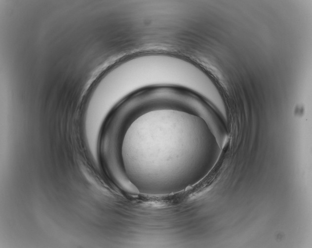 X0000092020492200709061556