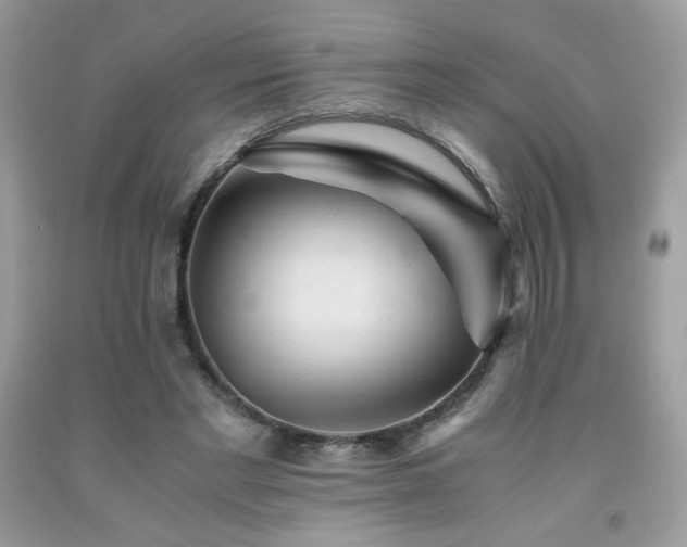 X0000092020493200709061556
