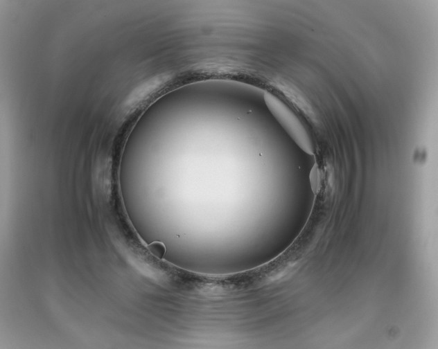 X0000092020494200709061556