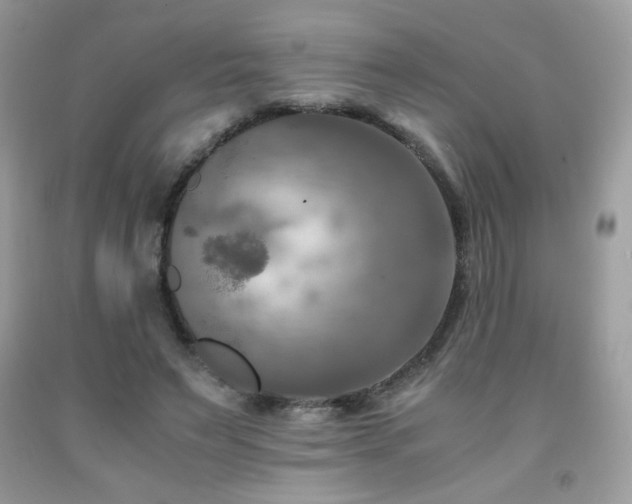 X0000092020495200709061556