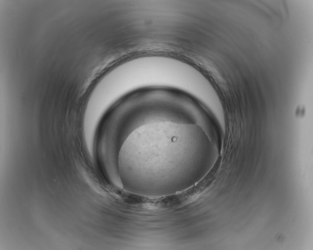 X0000092020496200709061556