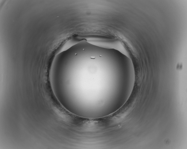 X0000092020497200709061556