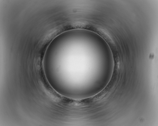 X0000092020498200709061556