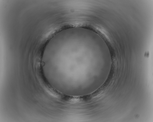 X0000092020499200709061556