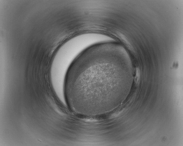 X0000092020500200709061556