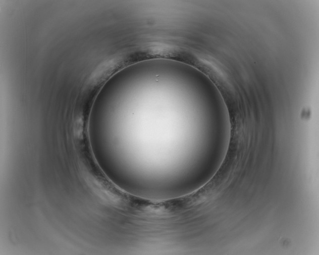 X0000092020502200709061556