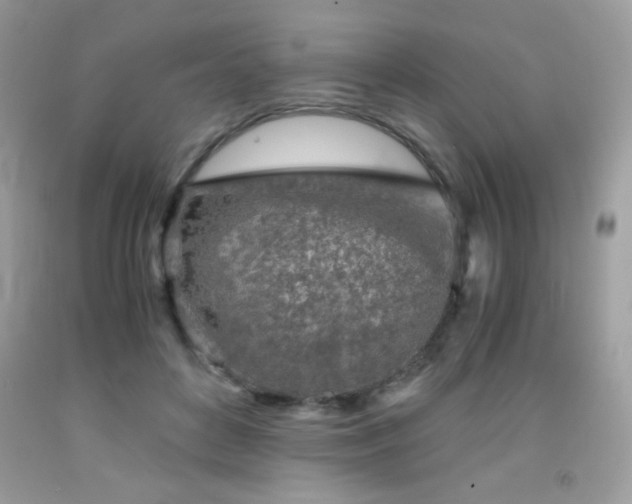 X0000092020504200709061556