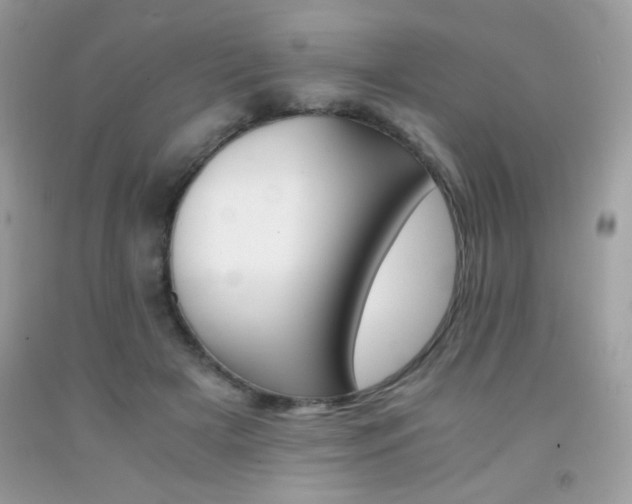X0000092020505200709061556