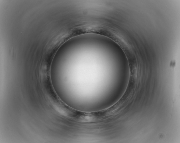 X0000092020506200709061556
