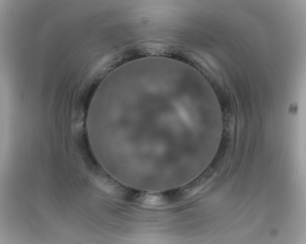 X0000092020507200709061556