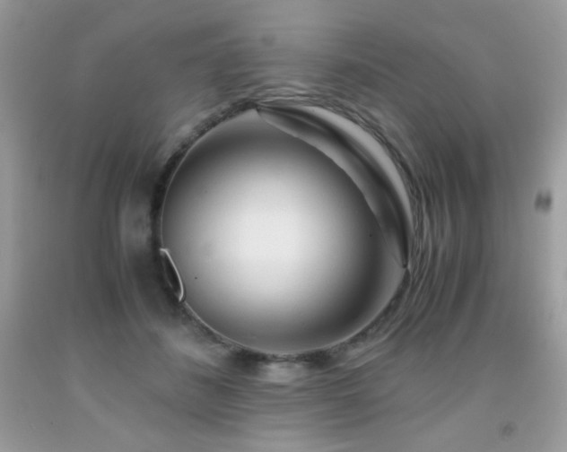 X0000092020508200709061556