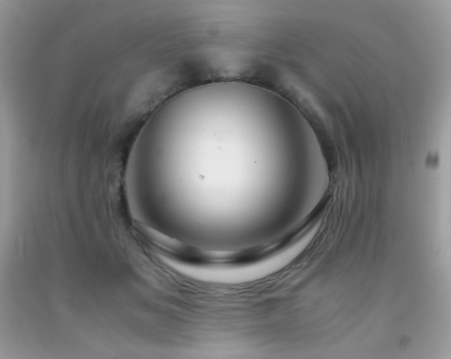 X0000092020509200709061556