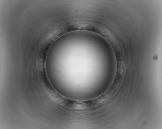 X0000092020510200709061556