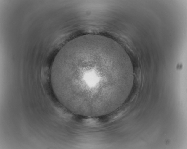 X0000092020511200709061556