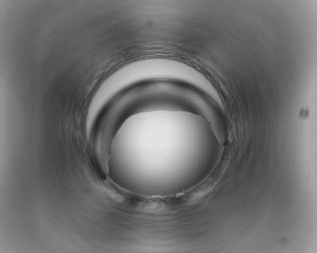 X0000092020512200709061556