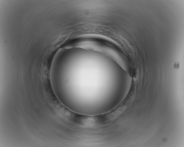X0000092020513200709061556