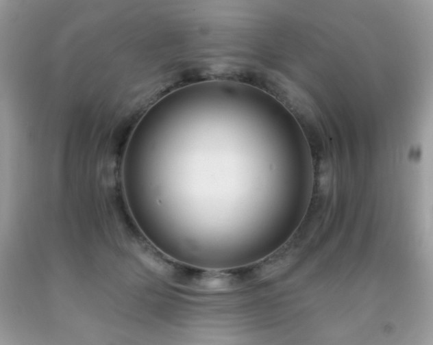 X0000092020514200709061556
