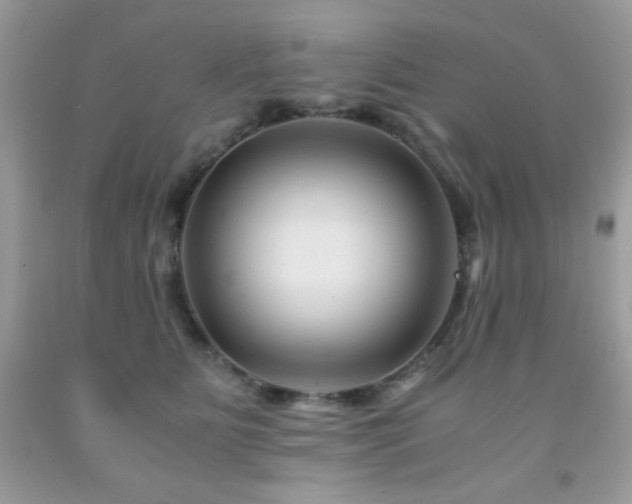 X0000092020515200709061556