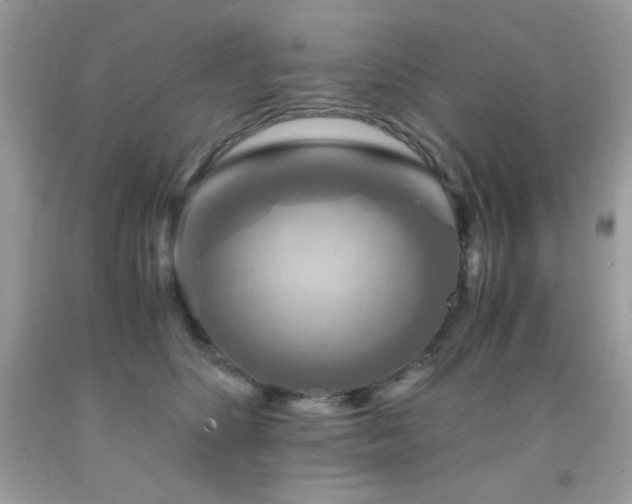 X0000092020516200709061556