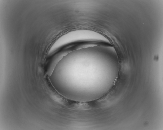 X0000092020517200709061556