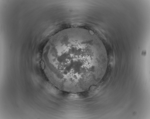 X0000092020519200709061556