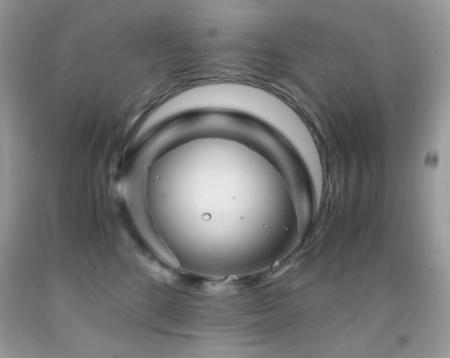 X0000092020520200709061556
