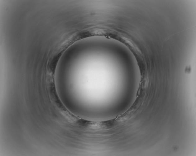 X0000092020521200709061556