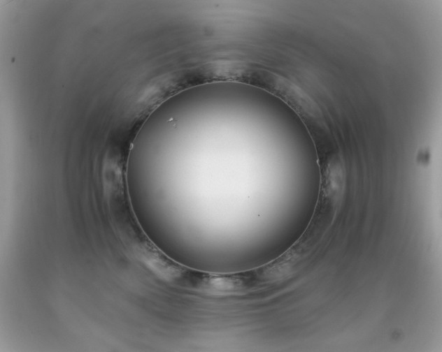 X0000092020522200709061556