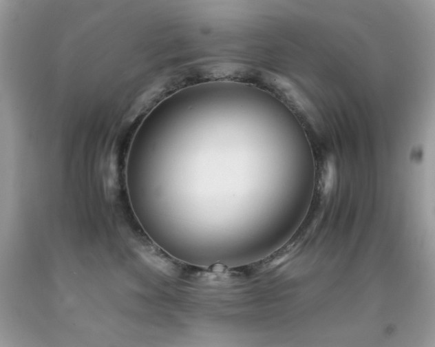 X0000092020524200709061556