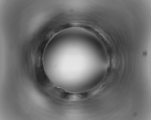 X0000092020525200709061556