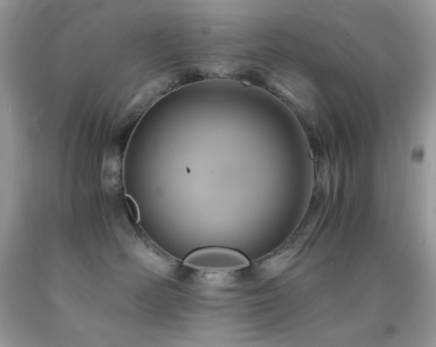 X0000092020526200709061556