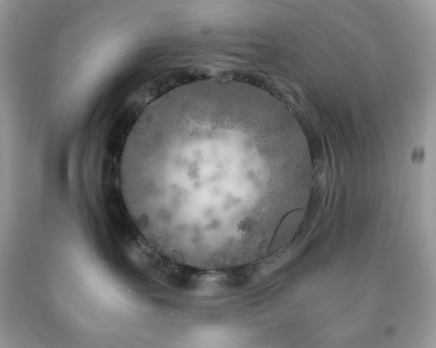 X0000092020527200709061556