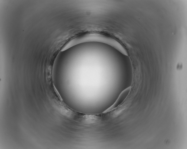 X0000092020528200709061556