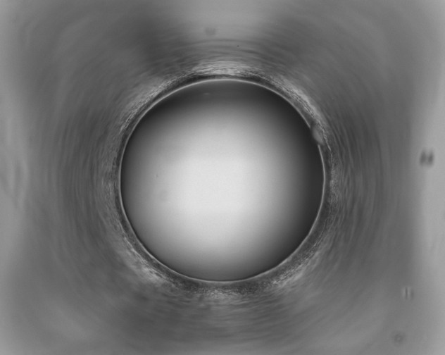 X0000092020529200709061555