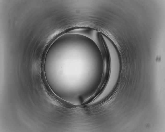 X0000092020530200709061555